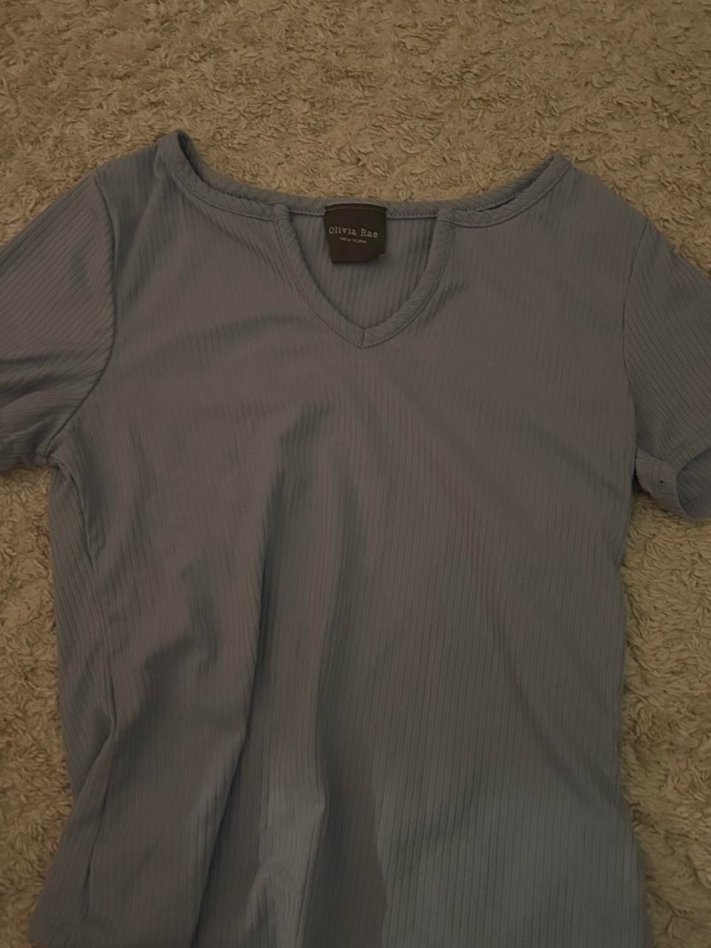 Olivia Rae Ribbed V-Neck Short Sleeve Top in Dusty Blue